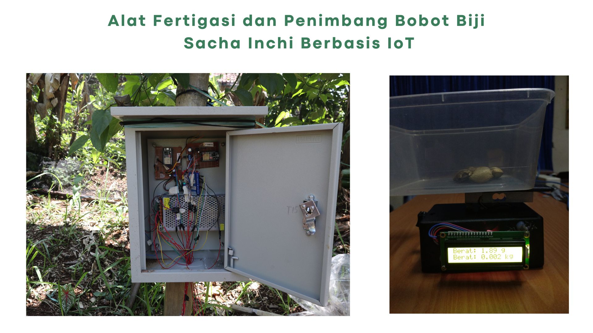 Fertigation and seed weighing system
